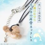 イルカの耳骨ネックレス