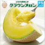 クラウンメロン 名人メロン 2玉詰