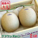 クラウンメロン 規格外大玉 2玉