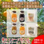 峯フルーツ加工品セット 計6種類 手づくりジャムソース4種