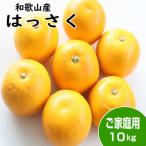 ふるさと納税 印南町 【訳あり・ご家庭用】はっさく(八朔)約10kg 和歌山産