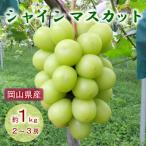 シャインマスカット 約1kg