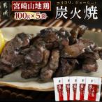 宮崎山地鶏 炭火焼 100g×5袋