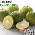 産じゃばら果実約3kg ご
