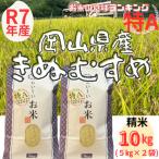 精米 きぬむすめ 10kg