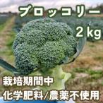 こだわりブロッコリー 栽培期間中化学肥料