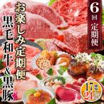 ふるさと納税 枕崎市 定期便(6回配送) 枕崎お楽しみ定期便(黒毛和牛・黒豚・加工品etc) FF-6003
