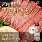ふるさと納税 美郷町 宮崎県産黒毛和牛タン300gABURI粉1瓶付き