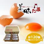 fu.... налог . брать город прекрасный тест Tama 120 шт (10 штук входит ×12 упаковка )