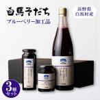 白馬そだち ブルーベリー加工品3種各1本セット