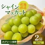 ふるさと納税 長野市 JAグリーン長野　シャインマスカット　2房(約1kg)　10月上旬より発送