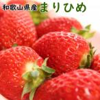 ふるさと納税 和歌山市 【4月より順次発送】和歌山県産ブランドいちご「まりひめ」約300g×2パック入り(和歌山市)