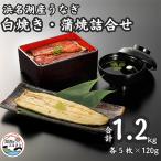 ふるさと納税 湖西市 浜名湖産うなぎ　白焼・蒲焼パック各5パック詰合せ