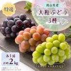 1061. 特選大粒ぶどう3種セット シャインマスカット入り