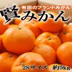 和歌山有田ブランド 賢みかん 約5kg