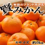 果物類 みかん 有田の旬の食べごろみかん約5kg