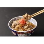 牛丼の具 150g×10p