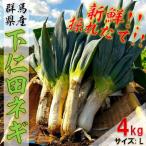下仁田ネギ