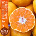 宮川早生みかんMサイズ約5kg