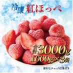 ふるさと納税 牧之原市 冷凍いちご3kg!!土にこだわる濃く甘いちご『紅ほっぺ』 1kg×3袋 (060-1)