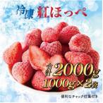 ふるさと納税 牧之原市 完熟冷凍いちご2kg!森木農園が育てる、濃く甘いちご『紅ほっぺ』1kg×2袋 (060-11)