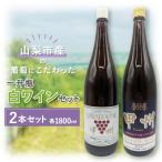 ふるさと納税 山梨市 【山梨市産】一升瓶白ワインセット(2)
