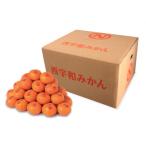 真穴みかん 10kg