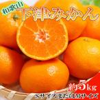 和歌山下津みかん約5kg SサイズまたはMサイズのいずれかを…