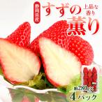 ふるさと納税 掛川市 静岡県掛川市産 ミズノ農園の完熟いちご「すずの薫り」 約280g×4パック