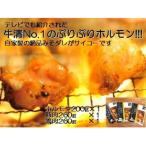 自家製みそダレBセット 牛ホルモン200g