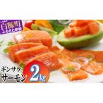 ふるさと納税 白糠町 ギンサケサーモン【2kg】