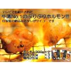 自家製みそダレ Nセット 牛ホルモン300g×2