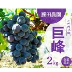 ふるさと納税 橋本市 【先行予約_2026年夏発送ぶどう】　藤田農園　こだわりの巨峰 約2kg
