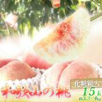 紀州和歌山産の桃 15玉