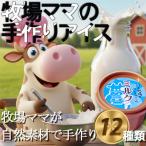 牧場アイス 季節のお勧め大 12個セット