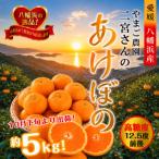 濃厚な味わい やまご農園 高糖度みかん あけぼの