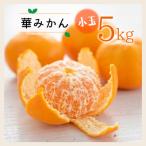 コウ果樹園の華みかん小玉5kg