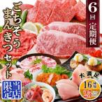 ふるさと納税 枕崎市 定期便6回配送 【当店限定】ごちそうまんきつセット FF-6004