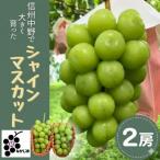 ふるさと納税 中野市 シャインマスカット　2房セット(約1.0kg)