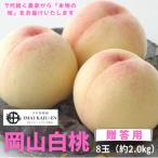白桃 8玉