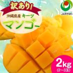 ふるさと納税 西原町 【2025年発送・訳あり】キーツマンゴー2.0kg(2〜3玉)