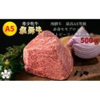 ふるさと納税 大垣市 ＜飛騨牛 メス牛＞ 最高A5等級 赤身モモブロック ローストビーフ・ステーキ用 500g