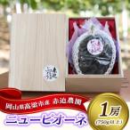 シャインマスカット 赤迫農園 桐箱入り