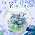 ネモフィラとカスミ草のボトルフラワー