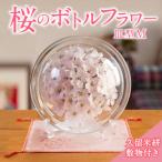 桜のボトルフラワーM 敷き物付き