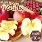 ふるさと納税 中野市 ◆2026年12月中発送◆りんご サンふじ家庭用 約10kg(24〜42玉)