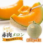 ふるさと納税 富良野市 糖度16度以上!!【富良野産 赤肉メロン】1玉入り