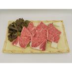 冷蔵でお届け 飛騨牛A5ランク ロース 焼肉用 500g