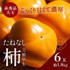 ふるさと納税 紀の川市 先行受付　柿(種無し)　赤秀品大玉　6個入　約1.8kg