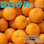 はれひめみかん約2.5kg サイズ混合